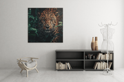 Luipaard Dieren – Canvas Decoratie voor de Wand