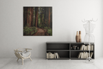 Wandelpad in het bos – Canvas Wanddecoratie in Vierkante Vorm