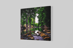 Stroom in het Bos – Canvas Decoratie voor de Wand
