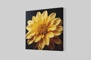 Gele Chrysant – Vierkante Canvas Wandkunst