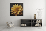 Gele Chrysant – Vierkante Canvas Wandkunst