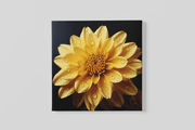 Gele Chrysant – Vierkante Canvas Wandkunst