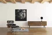 Leeuw – Ontwerp 2 – Canvas Wandkunst in Vierkante Uitvoering