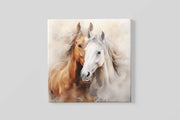 Paarden Bruin Wit – Vierkant Canvas Schilderij voor de Wand
