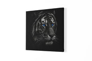 Tijger met blauwe Ogen – Vierkante Canvas Wandkunst