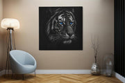 Tijger met blauwe Ogen – Vierkante Canvas Wandkunst