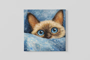 Schattige Kat – Vierkante Canvas Wanddecoratie – Canvas Schilderij als Wanddecoratie