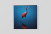 Rode Kraanvogel – Canvas Wandkunst in Vierkante Uitvoering
