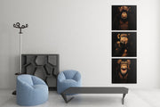Drie Apen – Vierkant Canvas Schilderij voor de Wand