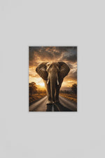 Olifant Canvas Schilderij 75x100 cm