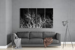 Night Trees 4 Pieces Mega Glass Wall Art (150x92 cm)