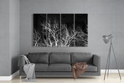Night Trees 4 Pieces Mega Glass Wall Art (150x92 cm)