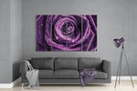 Purple Rose 4 Pieces Mega Glass Wall Art (150x92 cm)