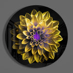 Gele dahlia met paars hart – Rond Glasschilderij