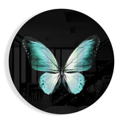 Turquoise vlinder op zwart – Rond Glasschilderij