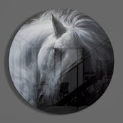 Buigend wit paard – Rond Glasschilderij