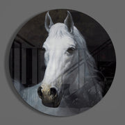 Portret van een wit paard – Rond Glasschilderij