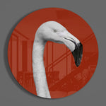 Witte flamingo in een rode cirkel – Rond Glasschilderij