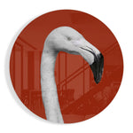 Witte flamingo in een rode cirkel – Rond Glasschilderij