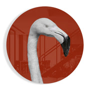 Witte flamingo in een rode cirkel – Rond Glasschilderij