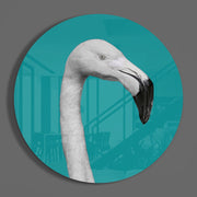 Witte flamingo in een petrolkleurige cirkel – Rond Glasschilderij