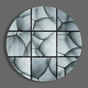 Grijze close-up van paardenbloemzaden – Rond Glasschilderij