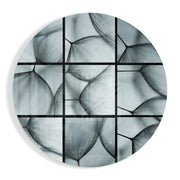 Grijze close-up van paardenbloemzaden – Rond Glasschilderij