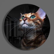 Bengaalse kat met groene ogen – Rond Glasschilderij