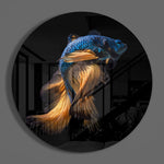 Blauwe betta met gouden staart – Rond Glasschilderij