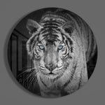 Tijger met ijsblauwe ogen – Rond Glasschilderij