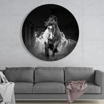 Zwart-wit springend paard – Rond Glasschilderij