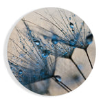Blauwe dauwdruppels op een paardenbloem – Rond Glasschilderij