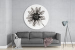 Monochrome gazania – Rond Glasschilderij