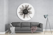 Monochrome gazania – Rond Glasschilderij