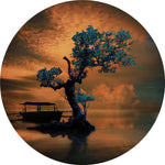 Bonsai – Rond Glasschilderij