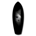 White Cat Half Face Black Background Glass Wall Art.