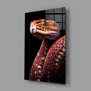 Red Stare Viper Glass Wall Art || Designer Collection
