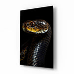 Golden-Eyed Black Snake Glass Wall Art || Designer Collection