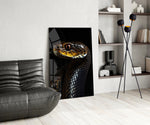 Golden-Eyed Black Snake Glass Wall Art || Designer Collection