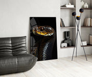 Golden-Eyed Black Snake Glass Wall Art || Designer Collection