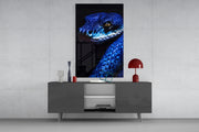Eyes of the Blue Viper Glass Wall Art || Designer Collection