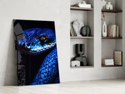 Eyes of the Blue Viper Glass Wall Art || Designer Collection