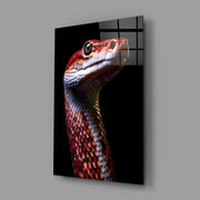 Eyes of the Fiery Serpent Glass Wall Art || Designer Collection