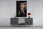 The Wise Look of the Elephant Glass Wall Art || Designer Collection