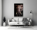 The Wise Look of the Elephant Glass Wall Art || Designer Collection