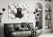 The Difference of the Black Lamb Flock Glass Wall Art || Designer Collection