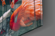 Flamingos Glass Wall Art.