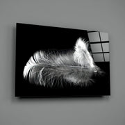 Feather Glass Wall Art.