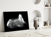 Feather Glass Wall Art.