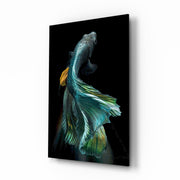 Fish Glass Wall Art.